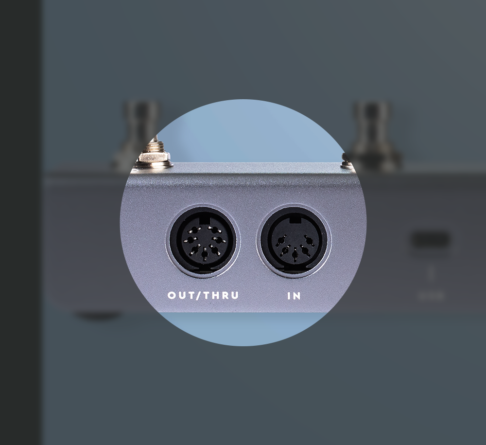 Darkglass-Midi-Footswitch-Card-3