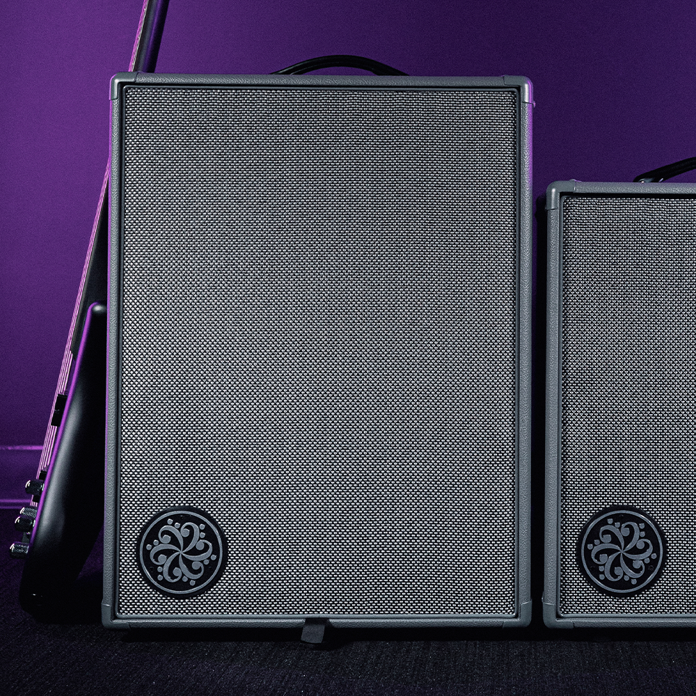 Infinity 500 Combo 210 – Darkglass